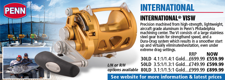 Penn International VISW Reel