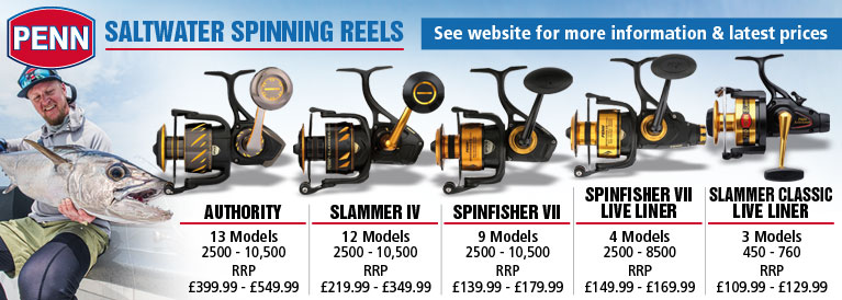 Penn Saltwater Spinning Reels