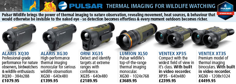 Pulsar Thermal Imaging for Wildlife Watching