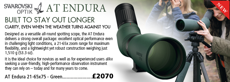 Swarovski AT Endura Spotting Scopes - Birding