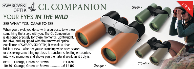 Swarovski Cl Companion Compact Binoculars