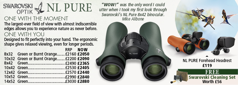 Swarovski NL Pure Binoculars