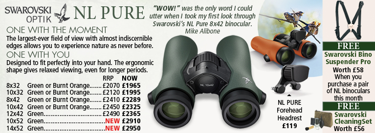 Swarovski NL Pure Binoculars
