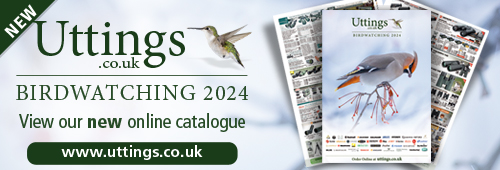 Uttings Rws Uttings.co.uk | Field Sports, Camping Equipment, Fishing and Outdoor ...