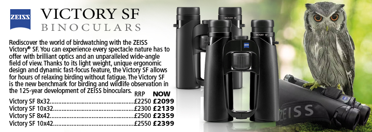 Zeiss Victory SF Binoculars for Birding