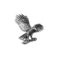 Image of A R Brown Hawk / Eagle / Harris Pewter Pin Badge