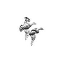 Image of A R Brown Pair of Ducks (Take off) Pewter Pin Badge