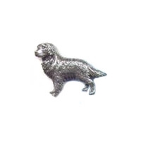 Image of A R Brown Retriever Pewter Pin Badge