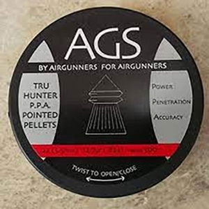 Image of AGS Pointed Pellets - .22 (500)