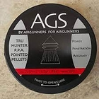 AGS Pointed Pellets - .22 (500)