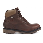 Image of Aigle Sembley MTD Walking Boots (Men's) - Brown