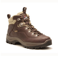 Image of Berghaus Explorer Ridge GTX Walking Boots (Women's) - Brown (B90)