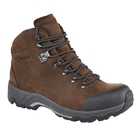 Berghaus Fellmaster GTX Walking Boots (Men's)Earth / Espresso
