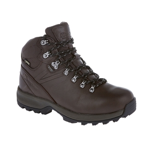 Image of Berghaus Explorer Ridge Plus GTX Walking Boots (Women's) - Brown / Dark Dull Grey