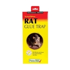Image of Big Cheese Rat Glue Trap
