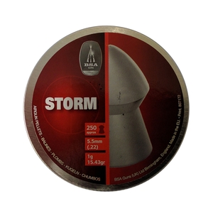 Image of BSA Storm .22 Pellets x 250