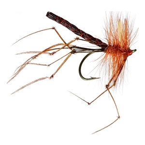 Image of Caledonia Detached Daddy Fly