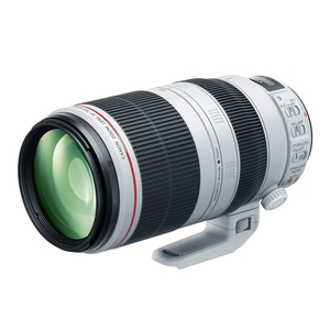 Image of Canon EF 100-400mm f/4.5-5.6L IS II USM Lens