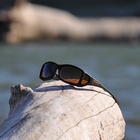 Image of Cocoons Wide Line Polarized Sunglasses - Black Frame / Amber Lens