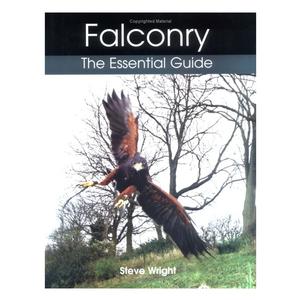 Image of Crowood Press Falconry - The Essential Guide (Steve Wright)