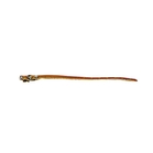 Image of Deben Ferret Collar (6 pack)