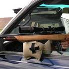Dog Gone Good Small Window Mount
