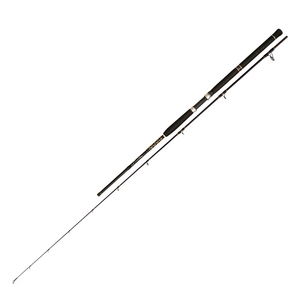 Image of Fin-Nor 2 Piece Lethal Sea Spin Rod - 8ft - 30-70g