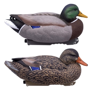 Image of Final Approach Deocys - Ornamental Duck Pair