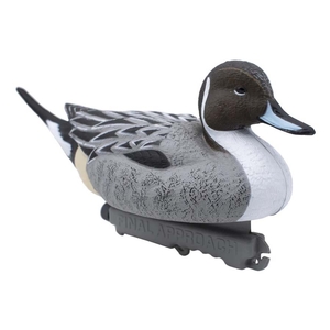 Image of Final Approach Last Pass Floating Pintail - 12pk