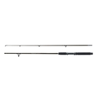 Image of Fladen Matt Hayes 2 Piece Adventure Pier Sea Rod - 25-60G