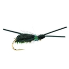 Image of Fulling Mill Kicking Beetle Peacock Fly
