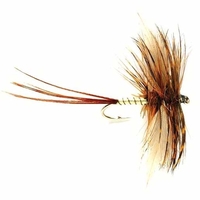 Fulling Mill Mayfly Lunns Spent Gnat Fly