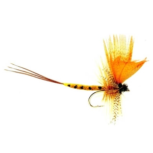 Image of Fulling Mill Mayfly Thomas Yellow Fly