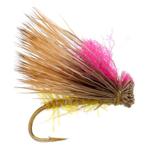 Image of Fulling Mill Ronan's Tussock Cicada Fly