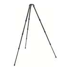 Image of Gitzo 2542LS Systematic Series 2 Carbon Fibre Tripod