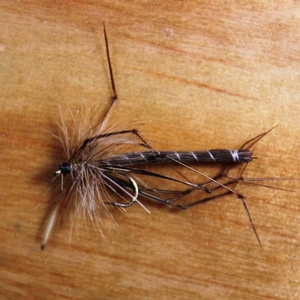 Image of Gone Fishing Detached Daddy Flies - 12 Pack