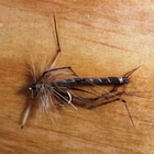 Image of Gone Fishing Detached Daddy Flies - 12 Pack