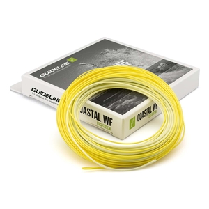 Image of Guideline Coastal Evolve WF Fly Line - Float