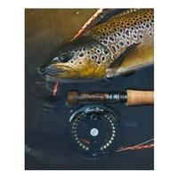 Guideline Euro Nymph Competition Fly Line - 0.57mm