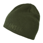Image of Helly Hansen Outline Beanie - Ivy Green