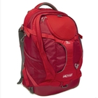 Image of Kurgo G-Train K9 Backpack - Red