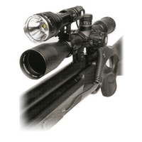 Image of Tracer LEDRay Tactical 700 Gunlight