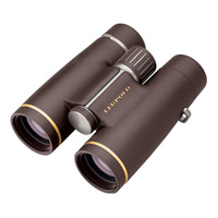 Image of Leupold Gold Ring HD 10x42 Binoculars