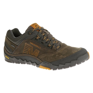 Image of Merrell Annex GTX Walking Shoes (Men's) - Merrell Stone