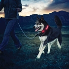 Image of Nite Ize Nite Dawg - LED Collar - Red LED - Red