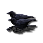 Image of NRA Crow Fold Up Decoy (FUD 6 Pack)