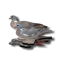 Image of NRA Wood Pigeon Fold Up Decoy (FUD 6 Pack)