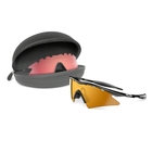 Image of Oakley M-Frame/Radar Array Case - Black