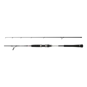 Image of Penn 2 Piece Prevail III Jigging Spin Rod - 6ft/1.83m