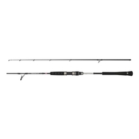 Penn 2 Piece Prevail III Jigging Spin Rod - 6ft/1.83m